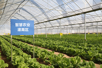 四信LoRa智慧灌溉系統(tǒng)是如何讓農(nóng)業(yè)灌溉做到精準高效